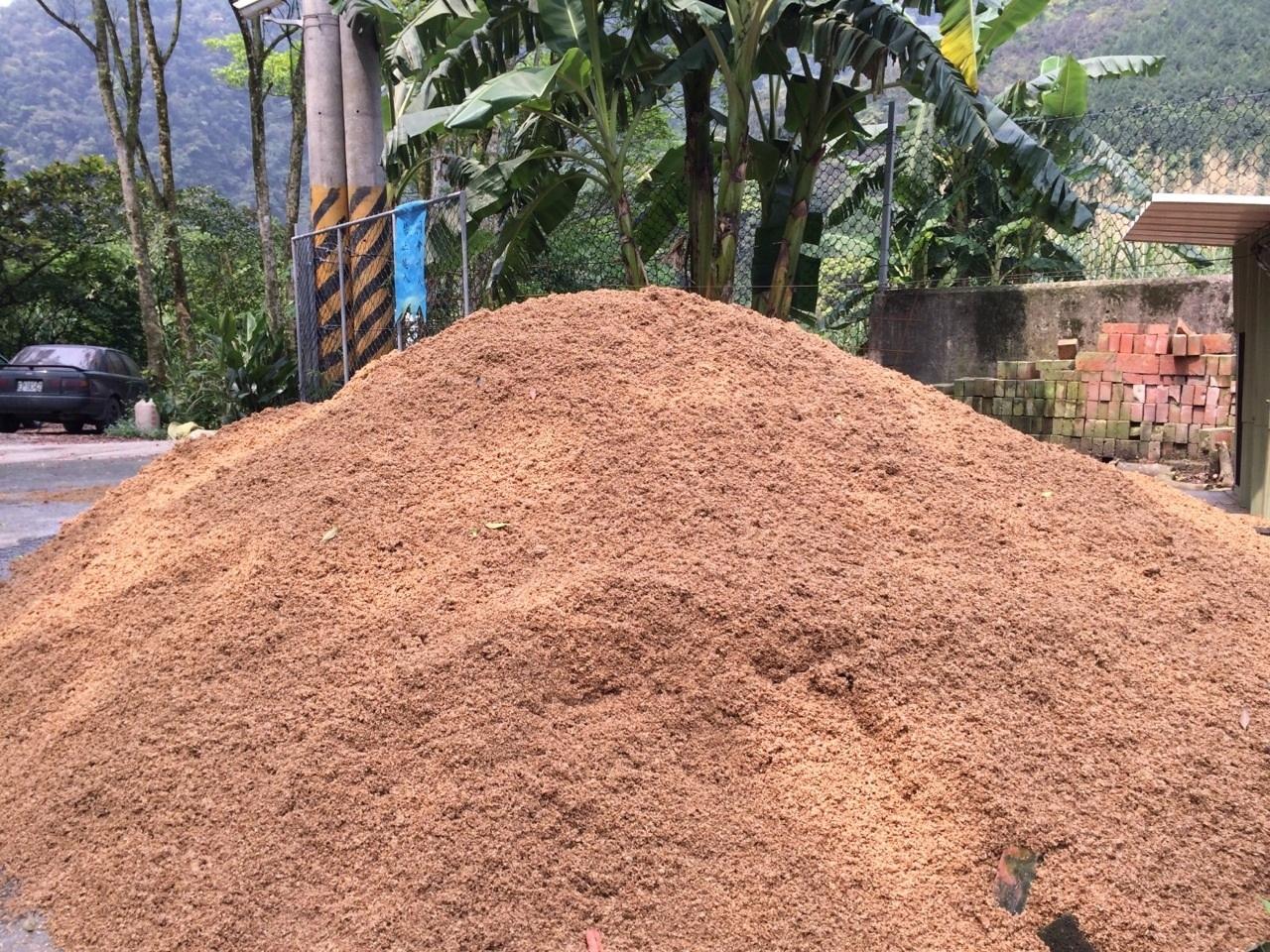 养猪技术分享:如何利用酒糟养出优质肥猪?